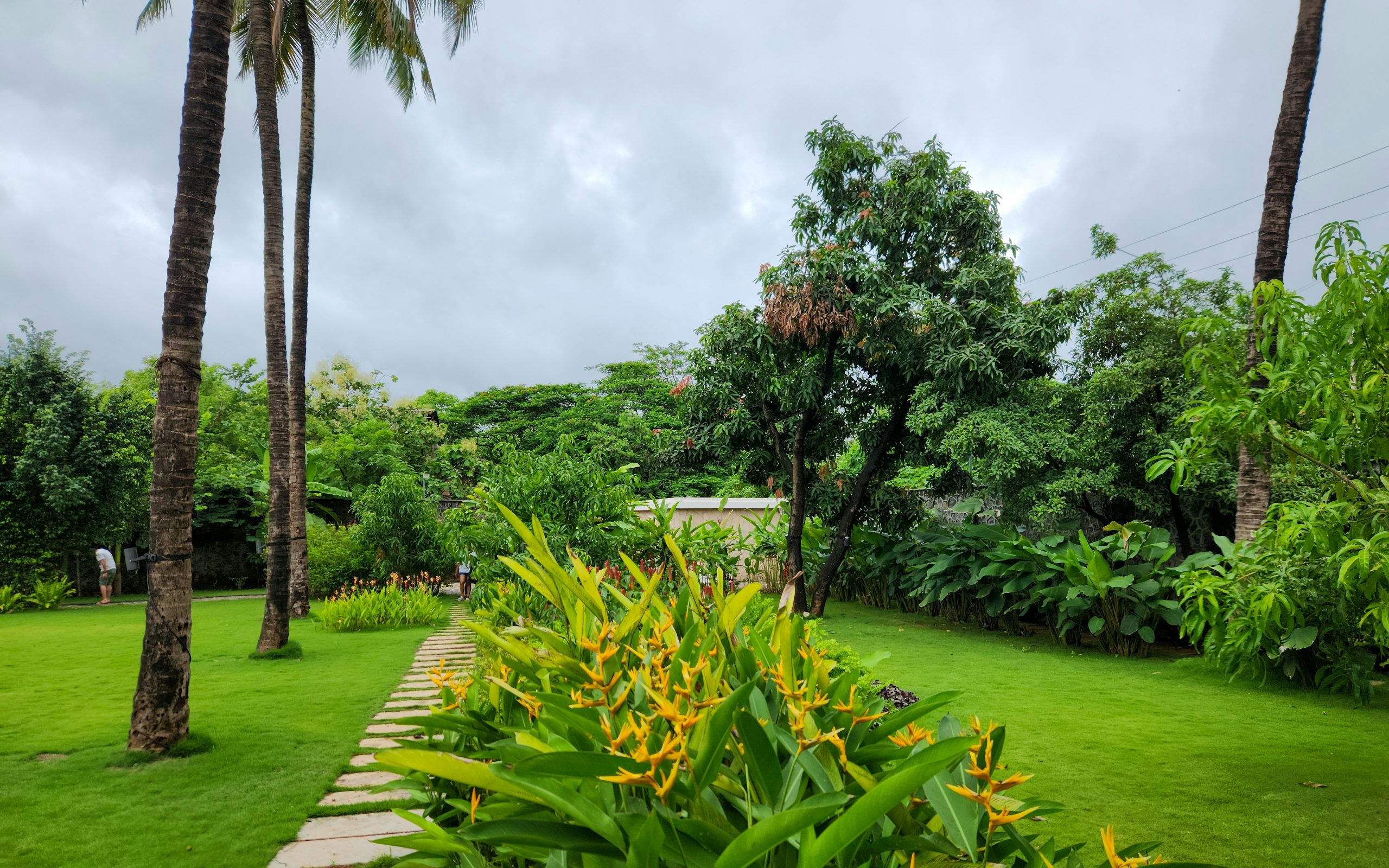 Beitragsbild von Hallo Welt